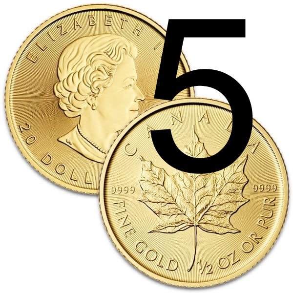 Picture of TEST TEST