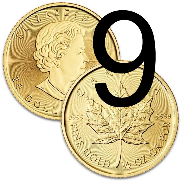 Picture of TEST TEST