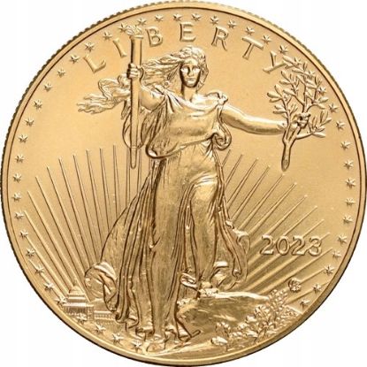 Picture of American Gold Eagle TEST - C2