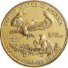 Picture of American Gold Eagle TEST - C2 - copy