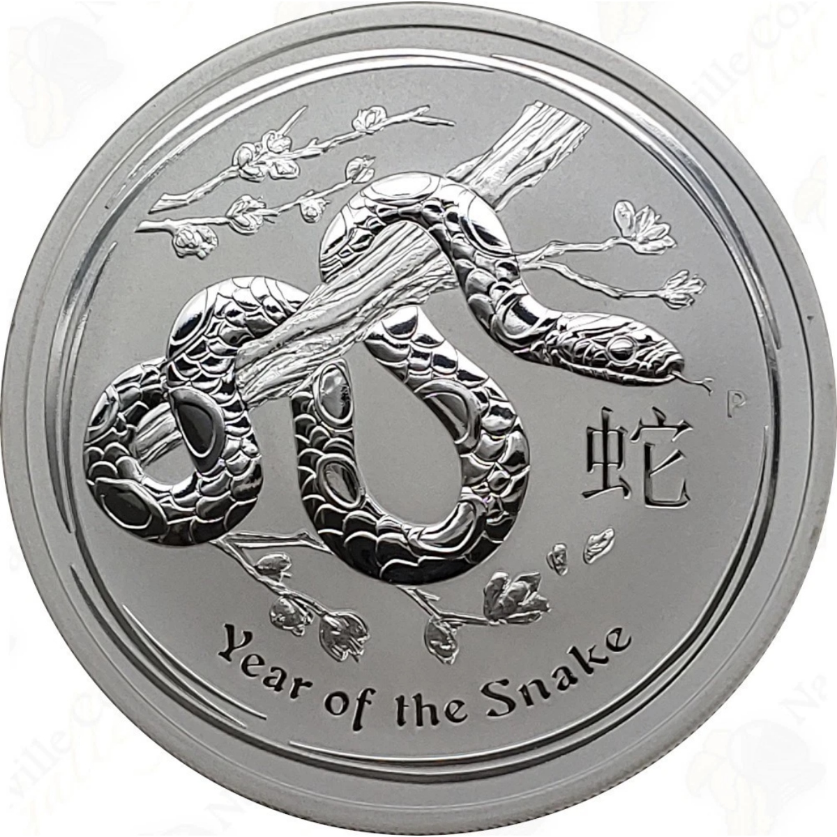 Picture of 2013 Australian Year of the Snake 10 oz Circulated Silver Coin - In Capsule