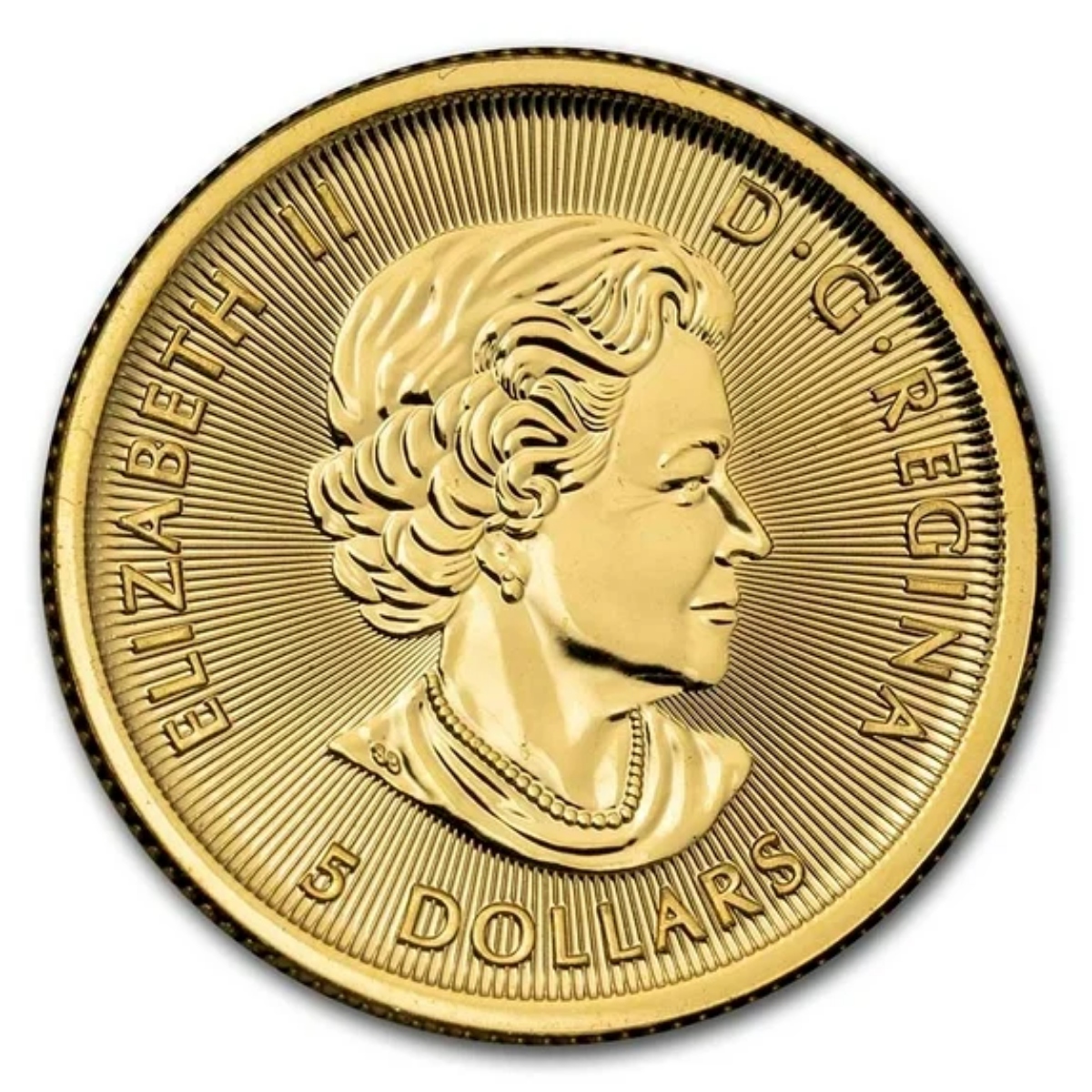 Picture of 2019 Royal Canadian Mint Polar Bear 1/10 oz Gold Coin - Factory Sealed