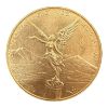 Picture of 2020 Mexico 1/2 oz Onza Gold Libertad Coin - Low Mintage 700