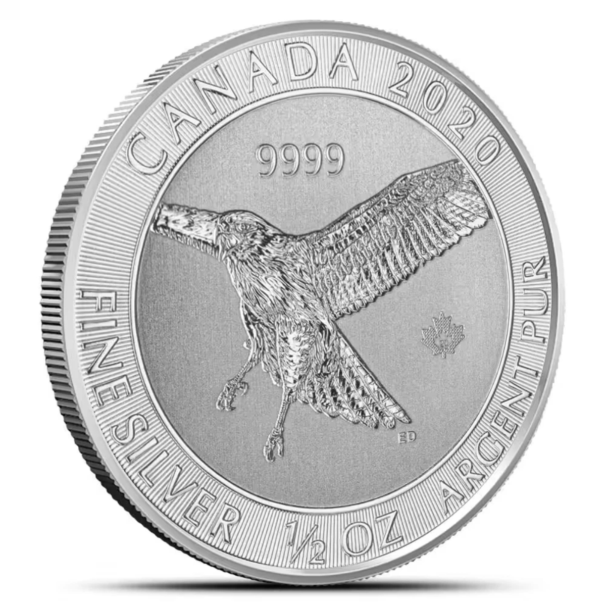 Picture of  2020 Royal Canadian Mint Red-Tailed Hawk 1/2 oz Silver Coin