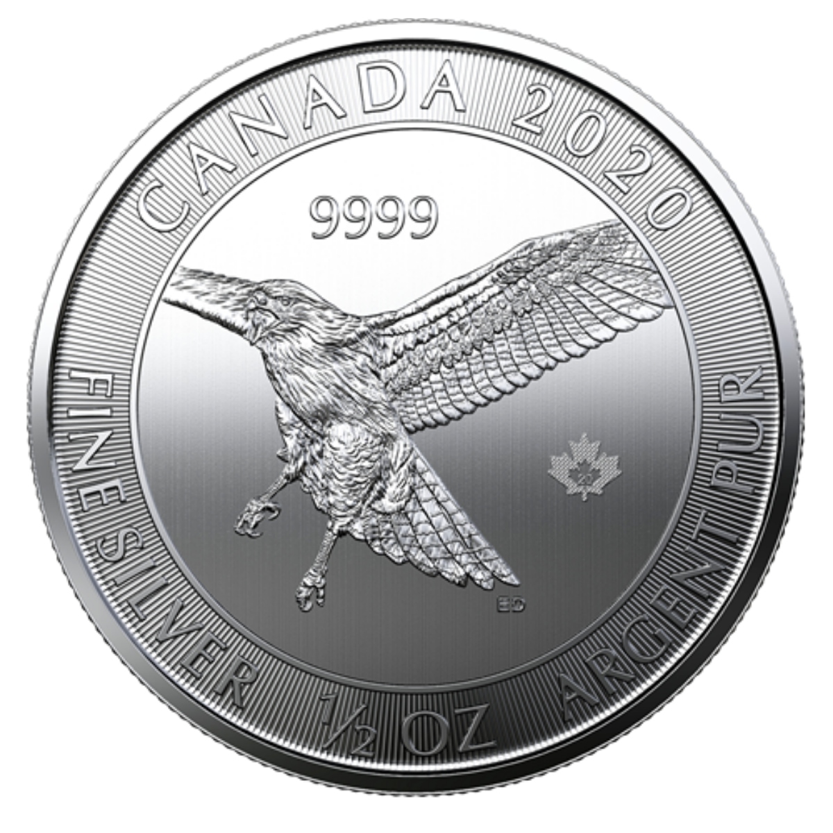Picture of  2020 Royal Canadian Mint Red-Tailed Hawk 1/2 oz Silver Coin