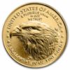 Picture of 2024 1/10 oz American Gold Eagle MS-70 NGC  (First Day of Issue)