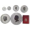Picture of 7pc Lunar Year of the Horse 1/2 oz–1 Kilo Silver & 1 gram Gold Coin Set