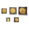 Picture of 1988 Chinese Panda 5 Coin Set Total 1.9 oz Gold - Original Plastic Holder