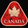 Picture of (Lot of 10) Canadian Maple Leaf Triangular 1 oz Colorized Copper Round