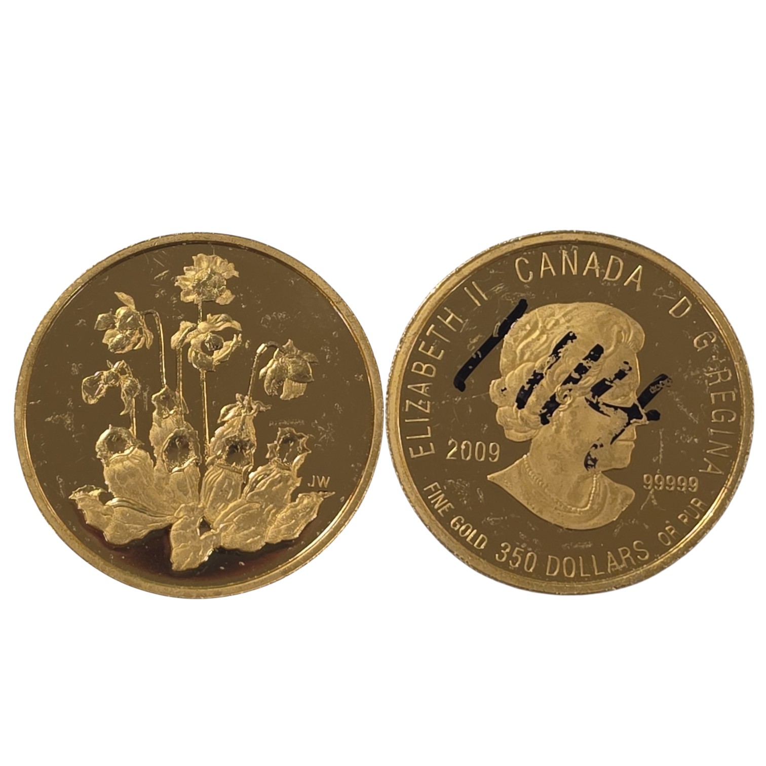 Picture of 2009 Pitcher Plant  Canada 1.125 oz Circulated Gold Coin 