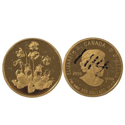 Picture of 2009 Pitcher Plant  Canada 1.125 oz Circulated Gold Coin 