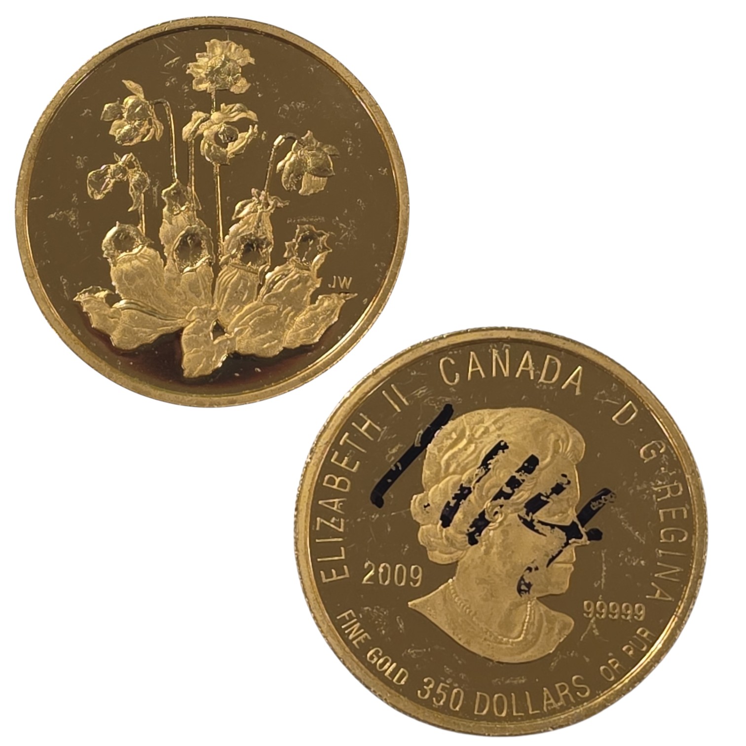 Picture of 2009 Pitcher Plant  Canada 1.125 oz Circulated Gold Coin 