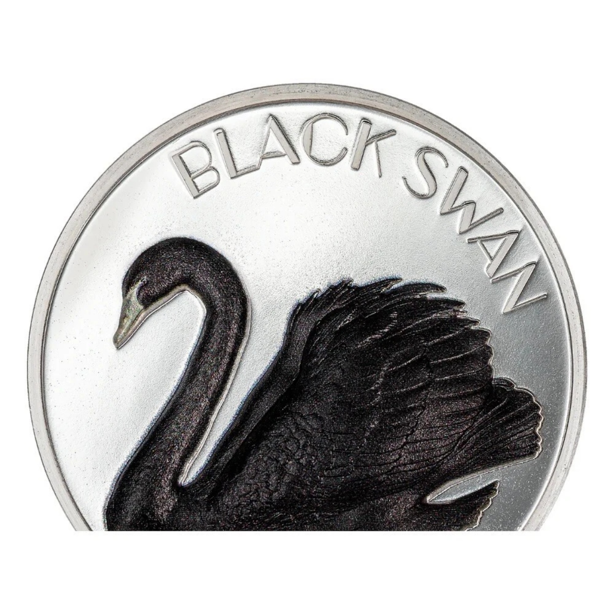 Picture of 2023 Cook Islands Black Swan 2 oz Black Proof Silver Coin - 30254