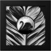 Picture of 2023 Cook Islands Black Swan 2 oz Black Proof Silver Coin - 30254